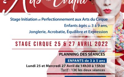 Stage Arts du Cirque